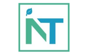 Logo Neutral IT