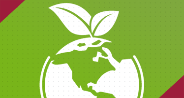 Miniature représentative de l'article