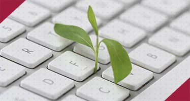 Miniature représentative de l'article