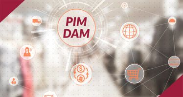 Miniature représentative de l'article