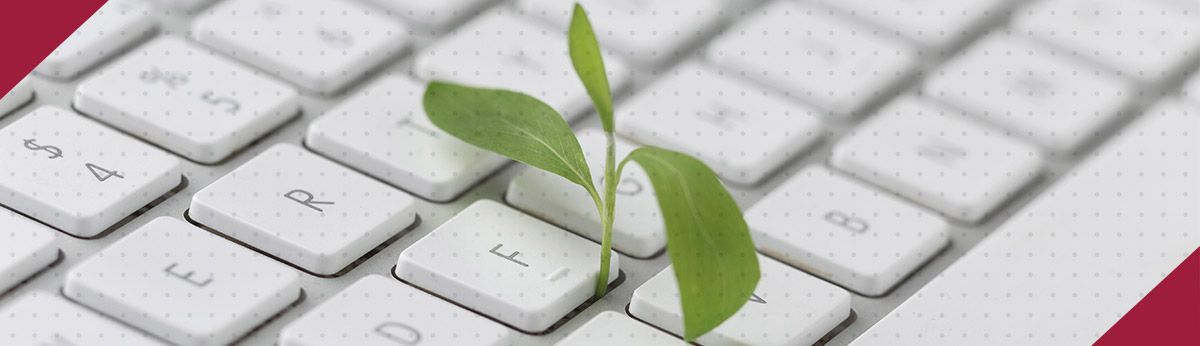 Image représentative de l'article