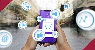 Miniature représentative de l'article