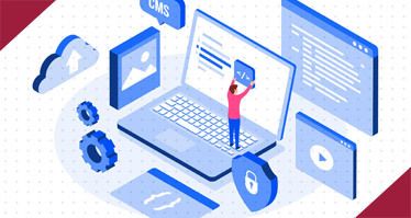 Miniature représentative de l'article