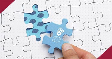 Miniature représentative de l'article