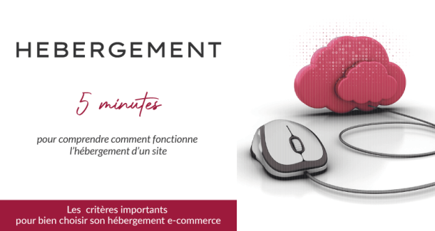 Miniature représentative de l'article